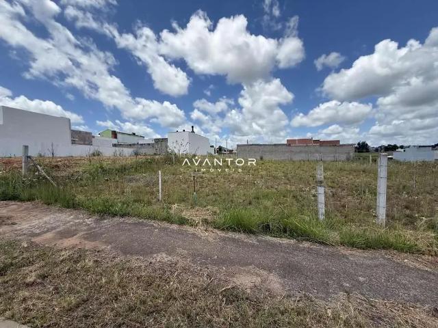 Terreno / Lote para Venda em Santa Maria/RS Pinheiro Machado