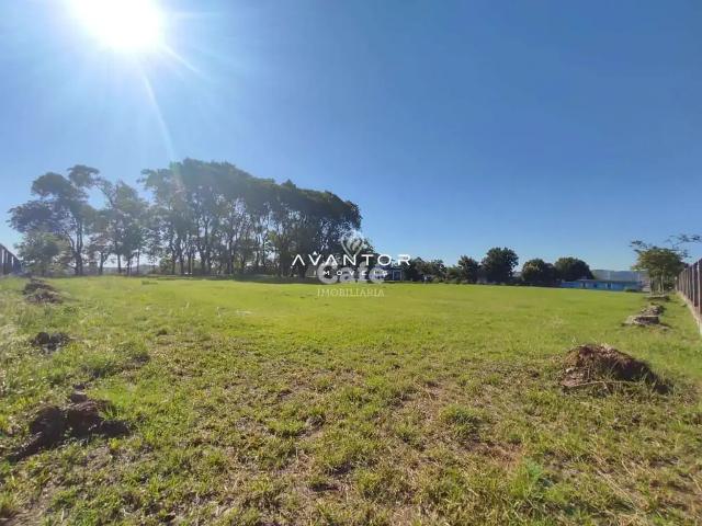 Terreno / Lote para Venda em Santa Maria/RS Pinheiro Machado