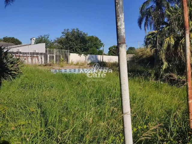 Terreno / Lote para Venda em Santa Maria/RS Pinheiro Machado