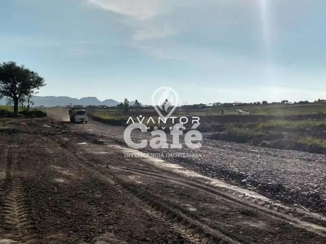Terreno / Lote para Venda em Santa Maria/RS Pinheiro Machado
