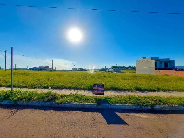 Terreno / Lote para Venda em Santa Maria/RS Pinheiro Machado