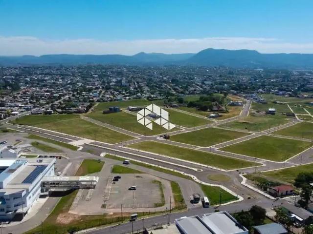 Terreno / Lote para Venda em Santa Maria/RS Pinheiro Machado
