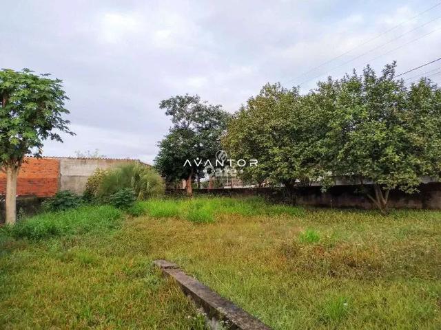 Terreno / Lote para Venda em Santa Maria/RS Pinheiro Machado