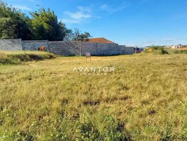 Terreno / Lote para Venda em Santa Maria/RS Pinheiro Machado