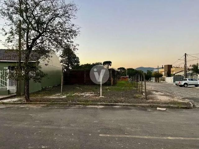 Terreno / Lote para Venda em Santa Maria/RS Pinheiro Machado