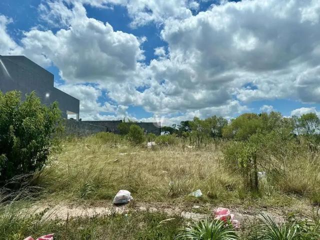 Terreno / Lote para Venda em Santa Maria/RS Pinheiro Machado