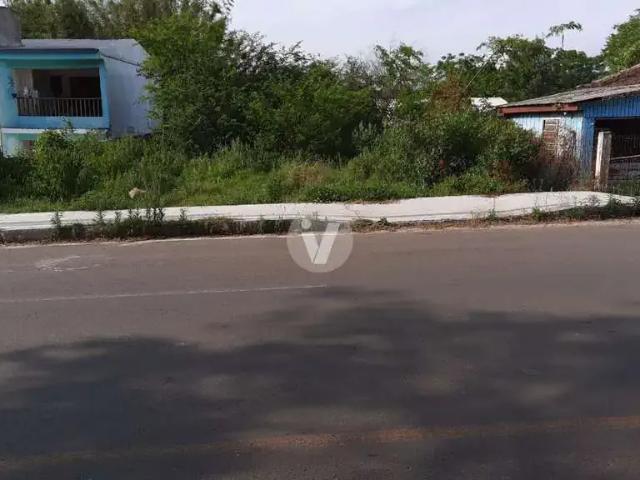 Terreno / Lote para Venda em Santa Maria/RS Pinheiro Machado