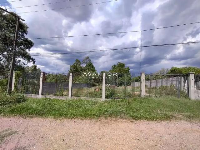 Terreno / Lote para Venda em Santa Maria/RS Pinheiro Machado