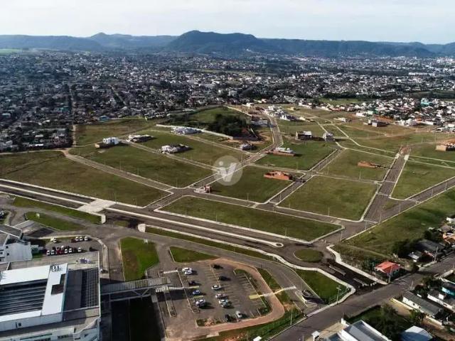 Terreno / Lote para Venda em Santa Maria/RS Pinheiro Machado