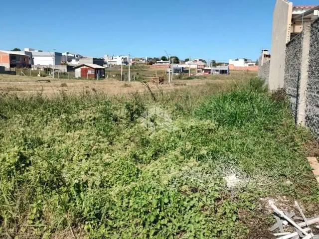 Terreno / Lote para Venda em Santa Maria/RS Pinheiro Machado