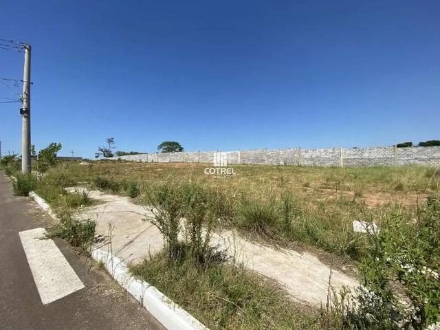 Terreno / Lote para Venda em Santa Maria/RS Pinheiro Machado