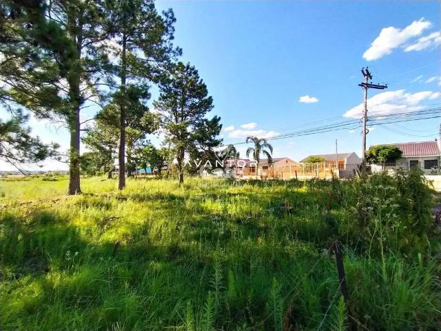 Terreno / Lote para Venda em Santa Maria/RS Pinheiro Machado
