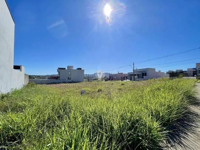 Terreno / Lote para Venda em Santa Maria/RS Pinheiro Machado