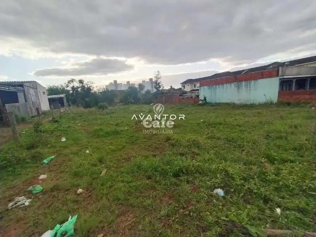 Terreno / Lote para Venda em Santa Maria/RS Pinheiro Machado