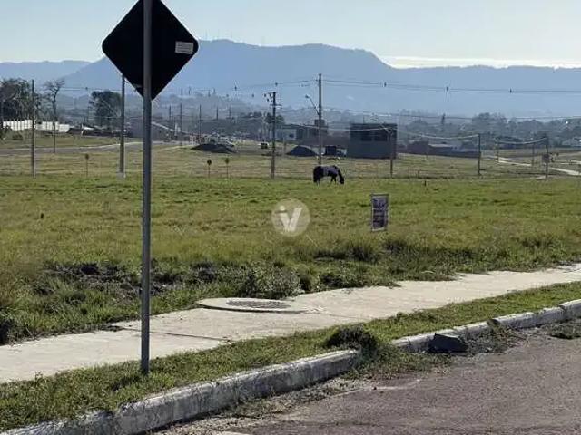 Terreno / Lote para Venda em Santa Maria/RS Pinheiro Machado