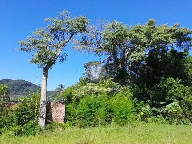 Terreno / Lote para Venda em Santa Maria/RS Presidente João Goulart