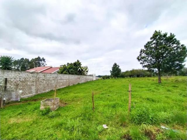 Terreno / Lote para Venda em Santa Maria/RS São José