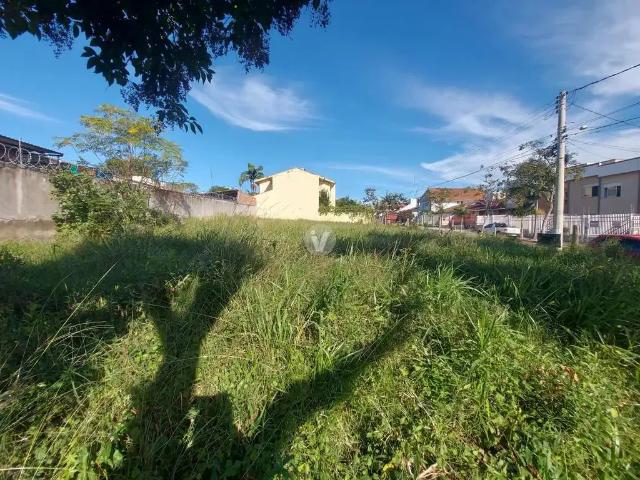 Terreno / Lote para Venda em Santa Maria/RS São José