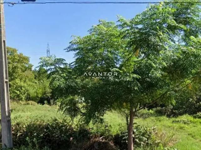 Terreno / Lote para Venda em Santa Maria/RS São José