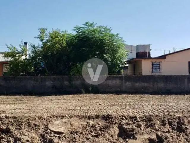 Terreno / Lote para Venda em Santa Maria/RS São José