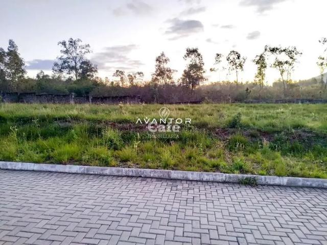 Terreno / Lote para Venda em Santa Maria/RS São José
