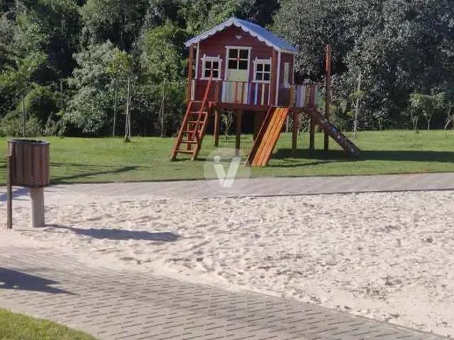 Terreno / Lote para Venda em Santa Maria/RS Tomazetti