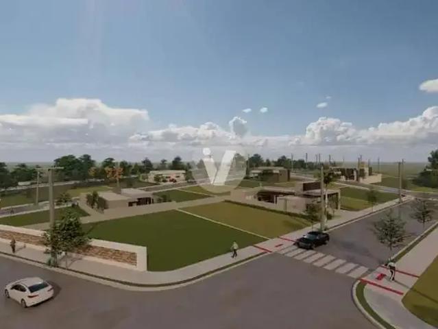 Terreno / Lote para Venda em Santa Maria/RS Tomazetti