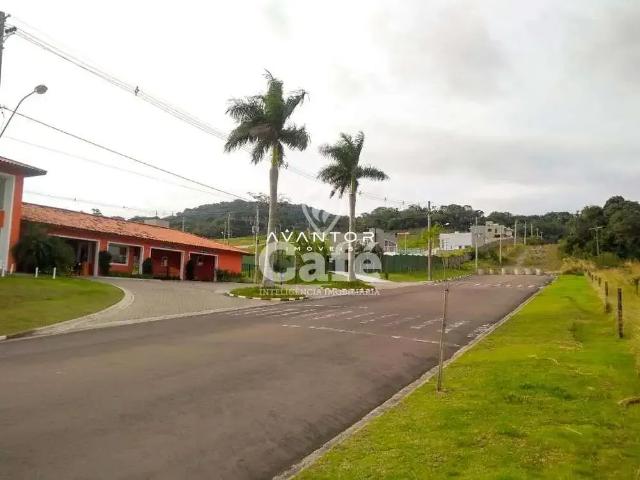 Terreno / Lote para Venda em Santa Maria/RS Tomazetti