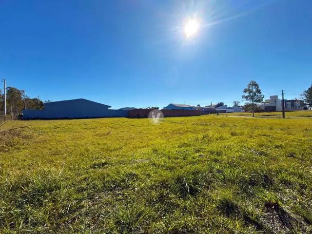 Terreno / Lote para Venda em Santa Maria/RS Tomazetti
