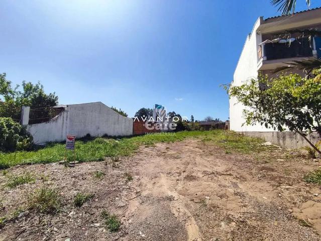 Terreno / Lote para Venda em Santa Maria/RS Tomazetti