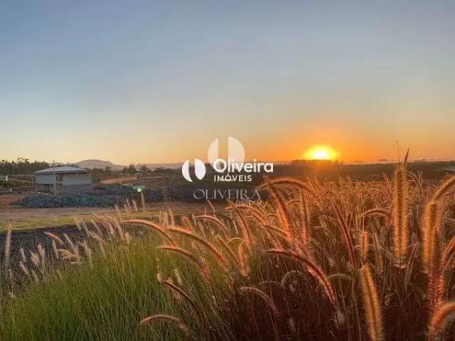 Terreno / Lote para Venda em Santa Maria/RS Tomazetti