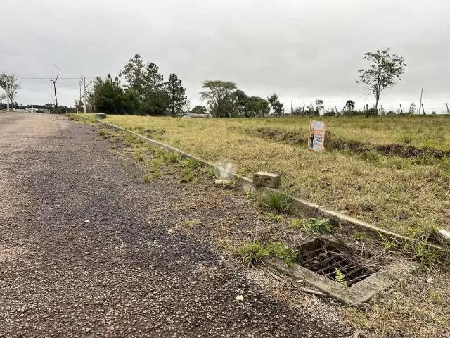 Terreno / Lote para Venda em Santa Maria/RS Tomazetti
