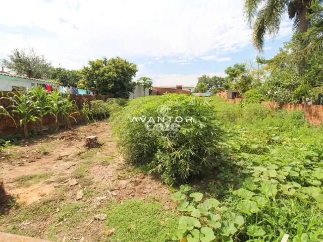 Terreno / Lote para Venda em Santa Maria/RS Tomazetti