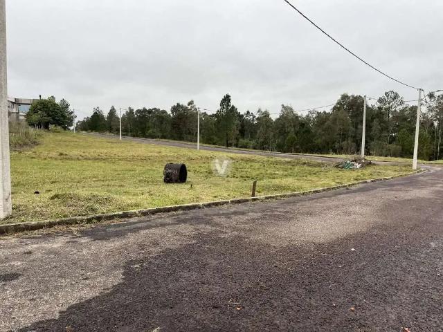 Terreno / Lote para Venda em Santa Maria/RS Tomazetti