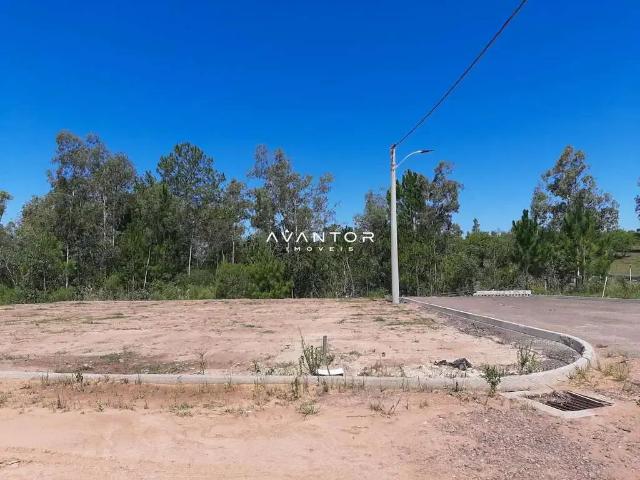 Terreno / Lote para Venda em Santa Maria/RS Tomazetti