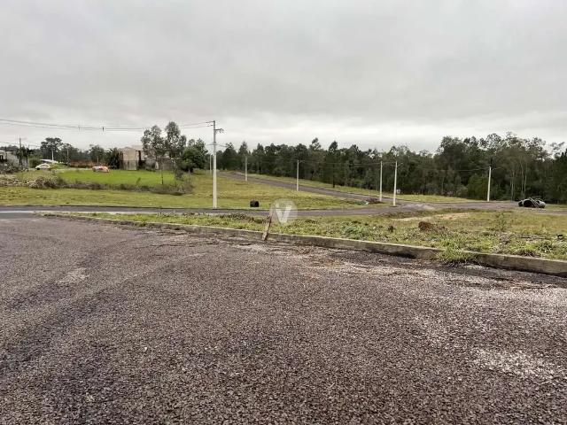 Terreno / Lote para Venda em Santa Maria/RS Tomazetti