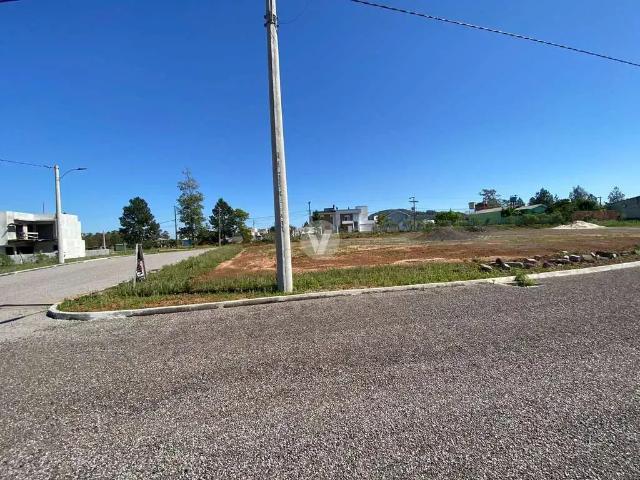 Terreno / Lote para Venda em Santa Maria/RS Tomazetti