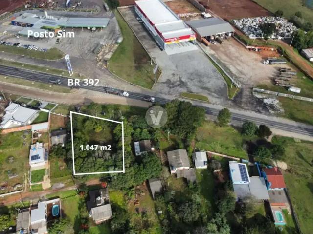 Terreno / Lote para Venda em Santa Maria/RS Tomazetti