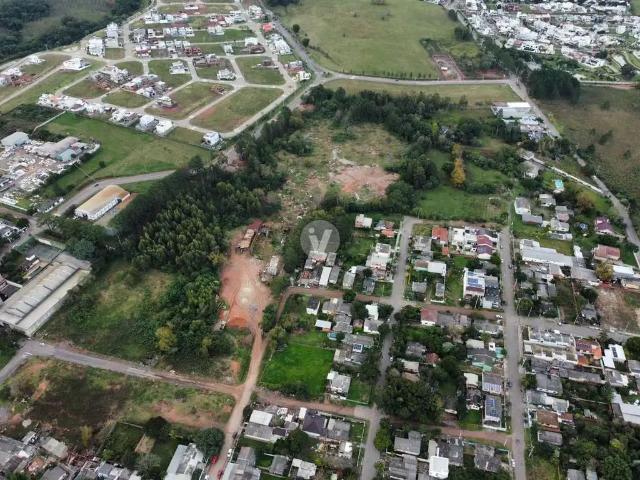 Terreno / Lote para Venda em Santa Maria/RS Tomazetti