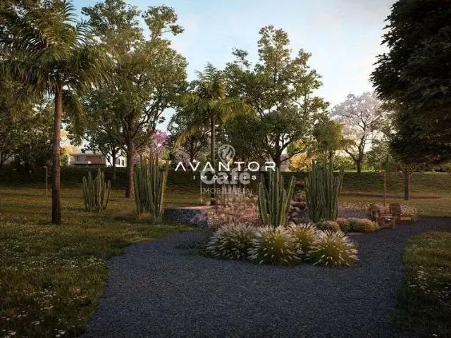 Terreno / Lote para Venda em Santa Maria/RS Tomazetti