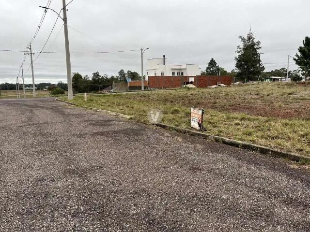Terreno / Lote para Venda em Santa Maria/RS Tomazetti