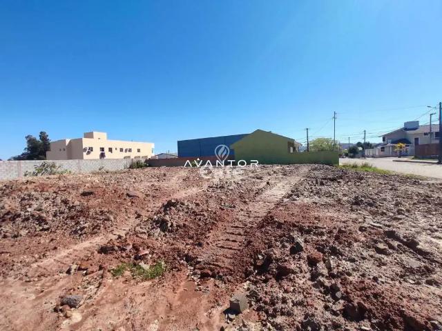 Terreno / Lote para Venda em Santa Maria/RS Tomazetti