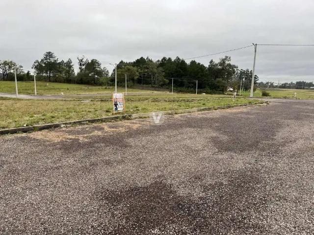 Terreno / Lote para Venda em Santa Maria/RS Tomazetti