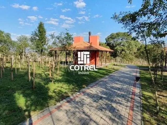 Terreno / Lote para Venda em Santa Maria/RS Tomazetti