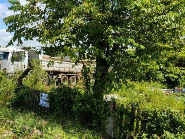 Terreno / Lote para Venda em Santa Maria/RS Tomazetti