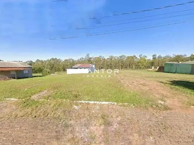 Terreno / Lote para Venda em Santa Maria/RS Tomazetti