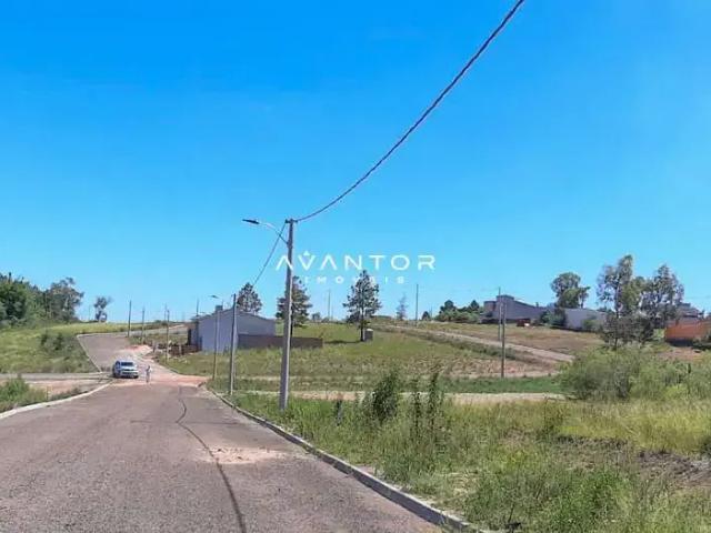 Terreno / Lote para Venda em Santa Maria/RS Tomazetti