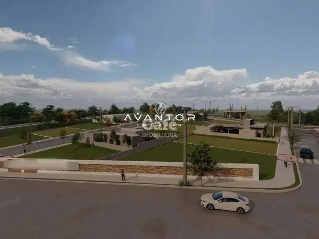 Terreno / Lote para Venda em Santa Maria/RS Tomazetti