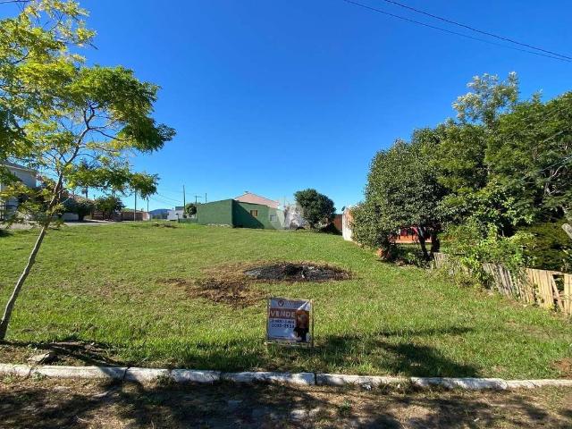 Terreno / Lote para Venda em Santa Maria/RS Tomazetti