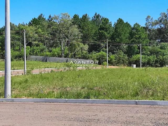 Terreno / Lote para Venda em Santa Maria/RS Tomazetti